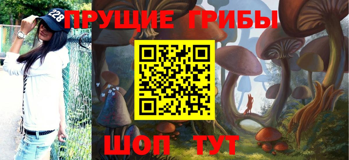 Галлюциногенные грибы прущие грибы Городец
